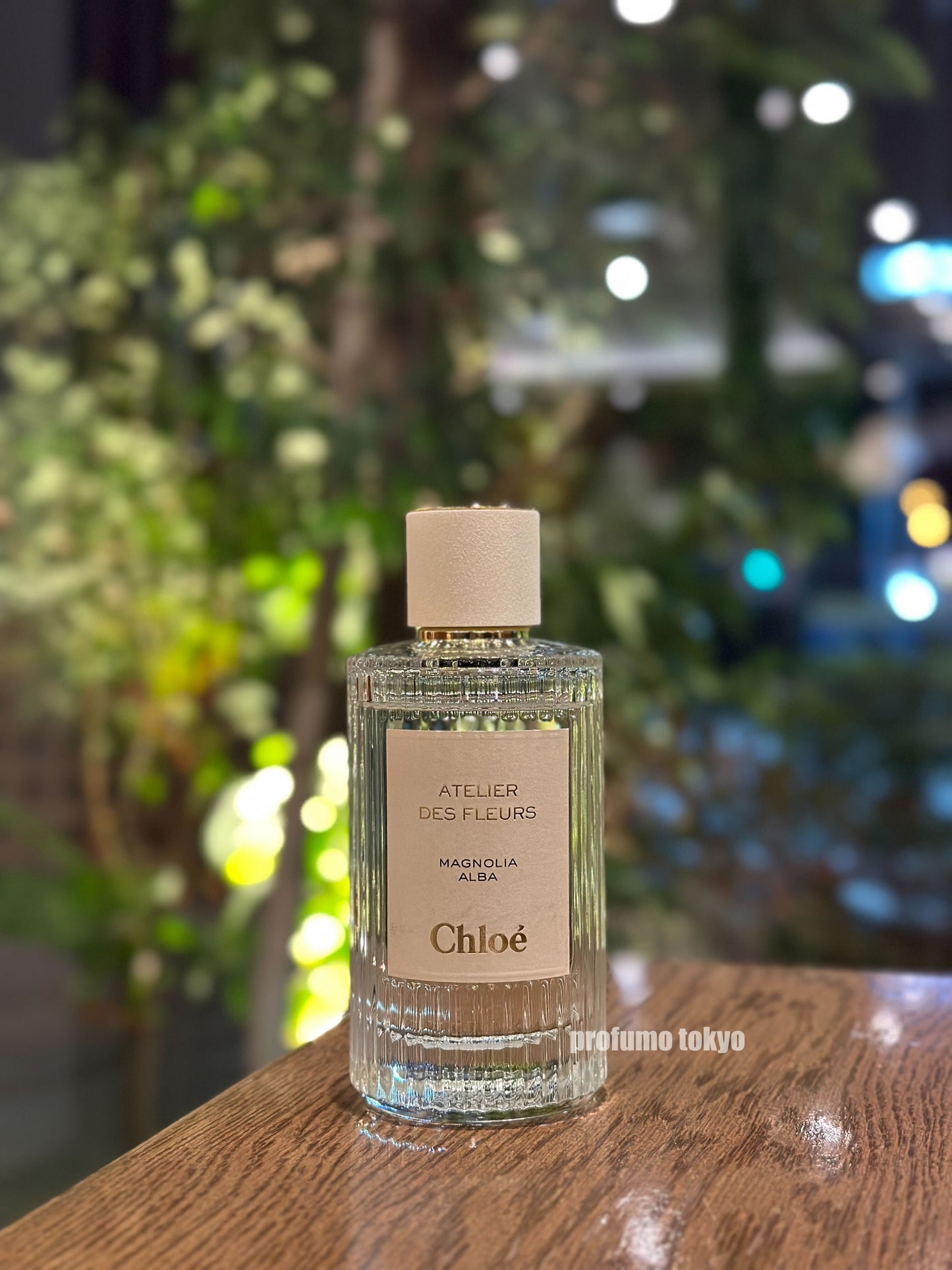 Chloe Atelier des Fleurs Magnolia Alba マグノリア アルバ