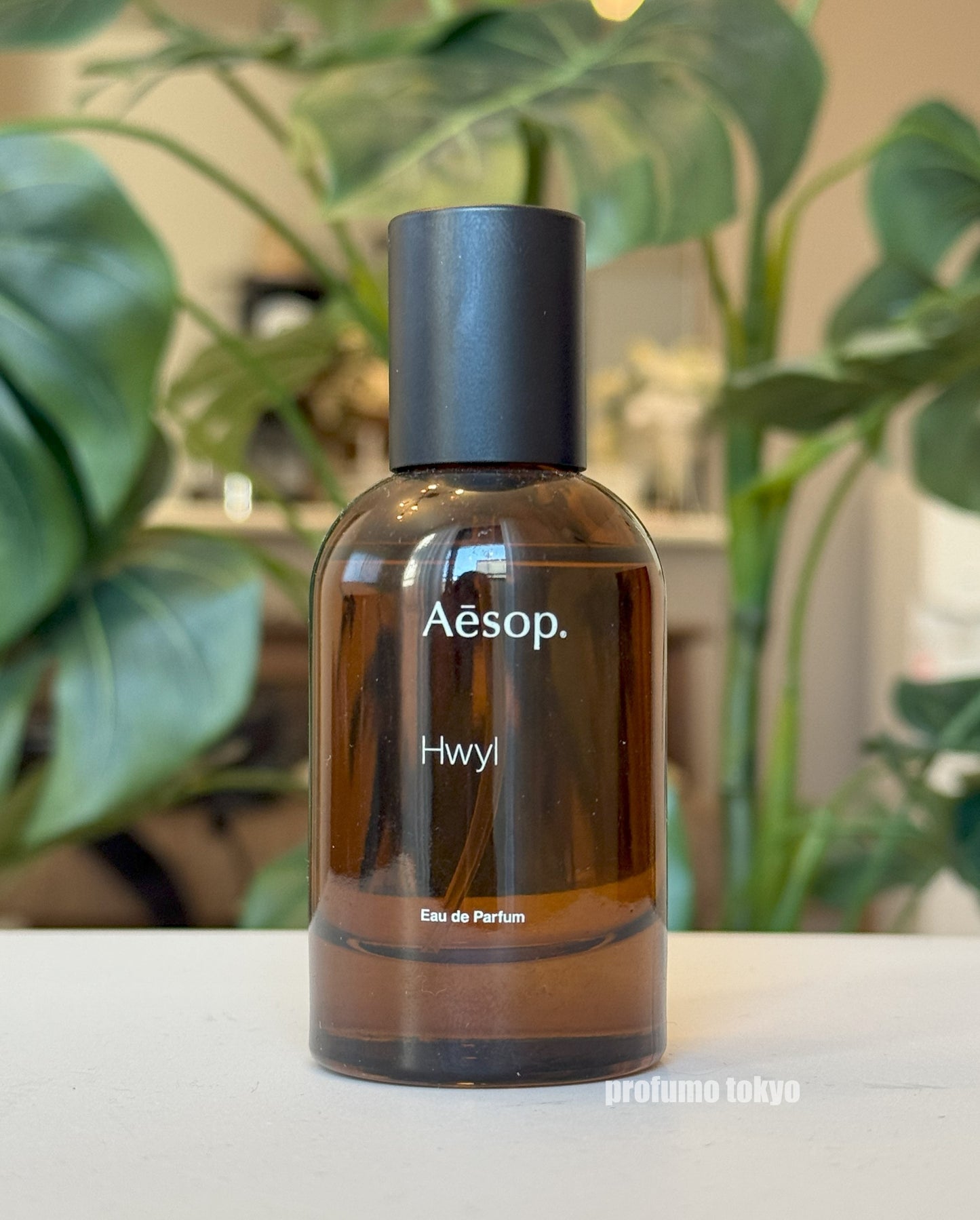 Aesop Hwyl（ヒュイル）