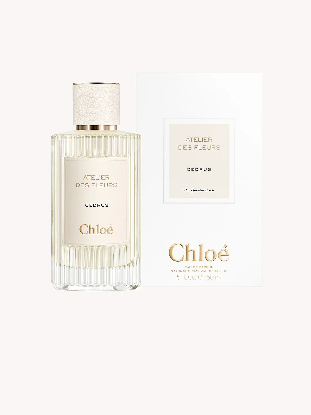 Chloe Atelier des Fleurs Cedrus シダー